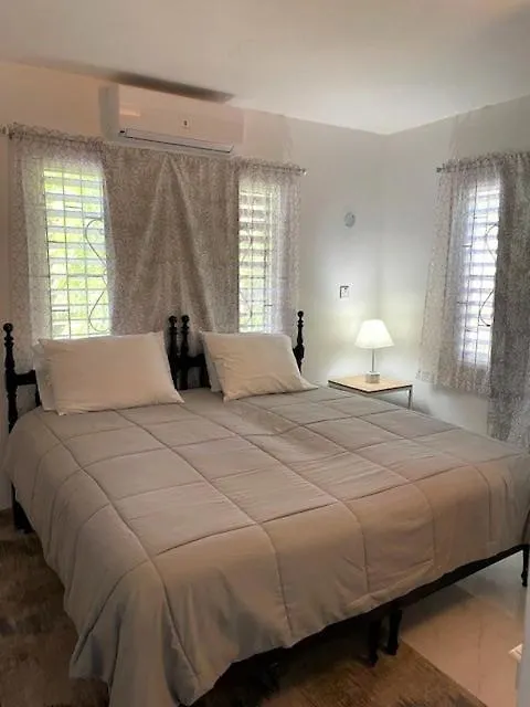 Serene Getaway-Newly Renovated Spacious 2 Beds 2 Baths Montego Bay